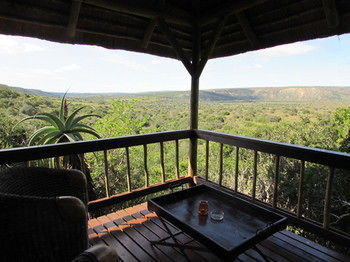 Woodbury Lodge Amakhala Game Reserve Luaran gambar