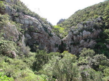 Woodbury Lodge Amakhala Game Reserve Luaran gambar
